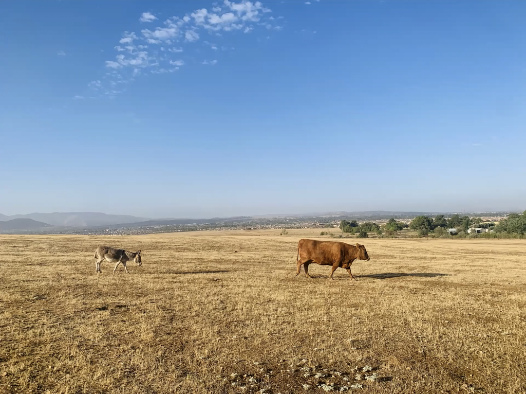 4 Essential Tips for Taking Better Photos