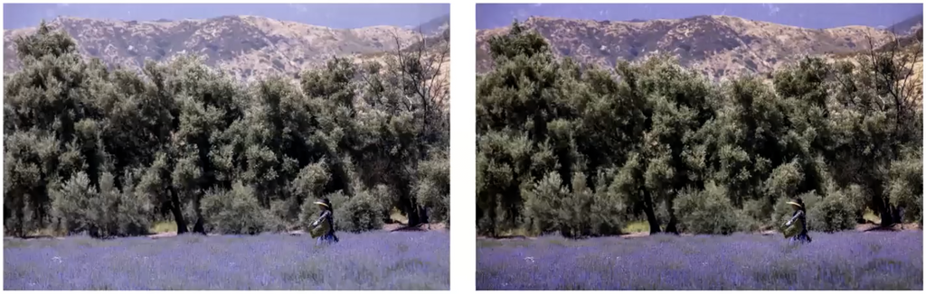 Fundamentals of Photo Editing - Editing and Retouching