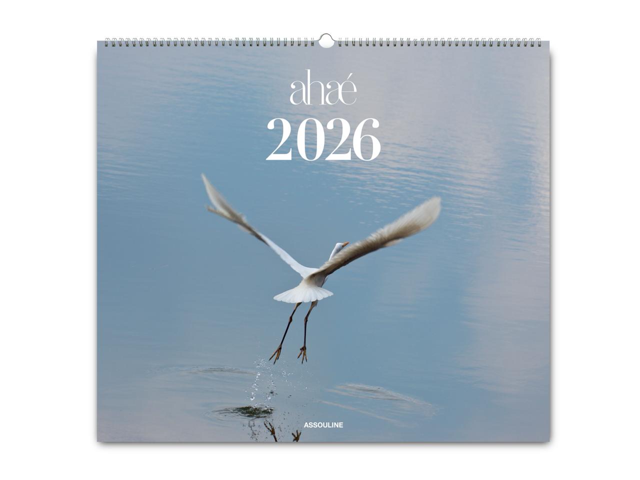 2026 Wall Calendar