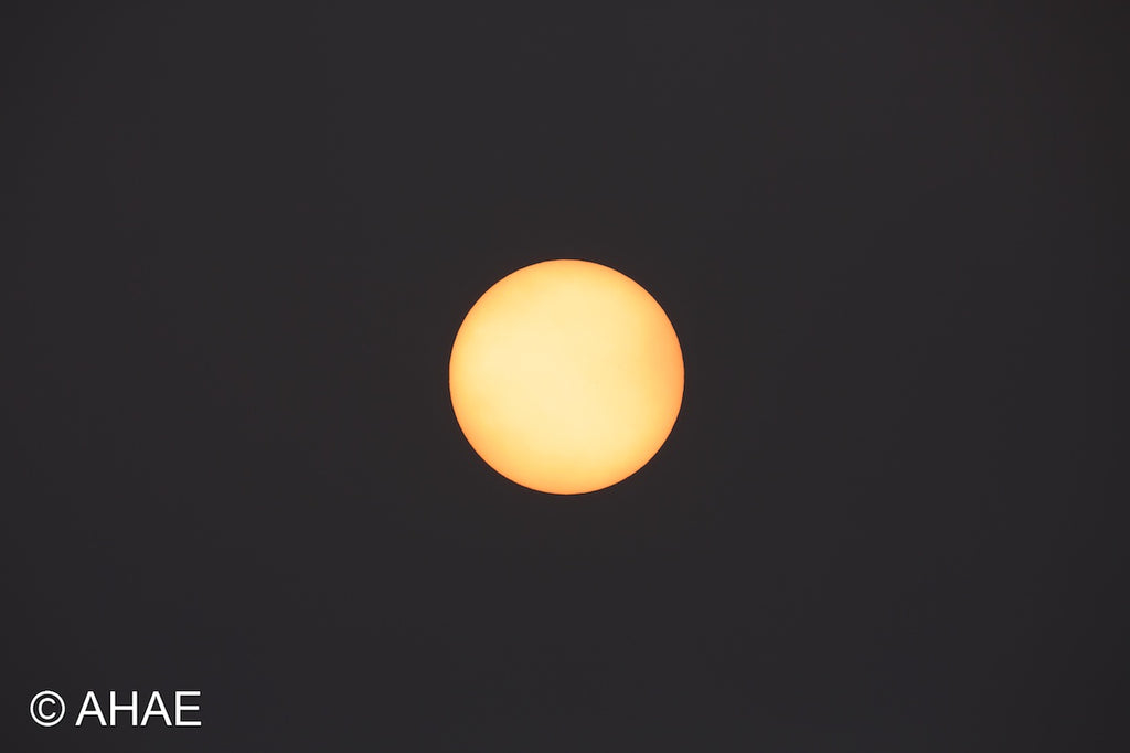 Sun (2012)