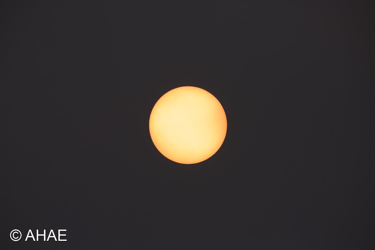 Sun (2012)