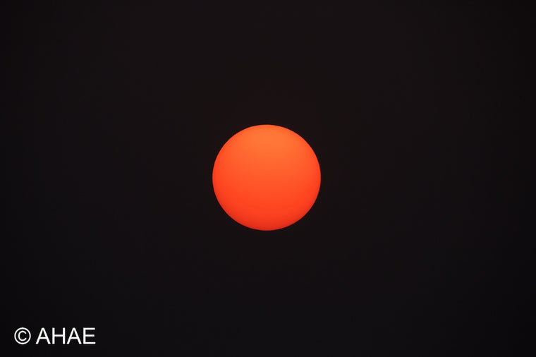 Sun (2012)