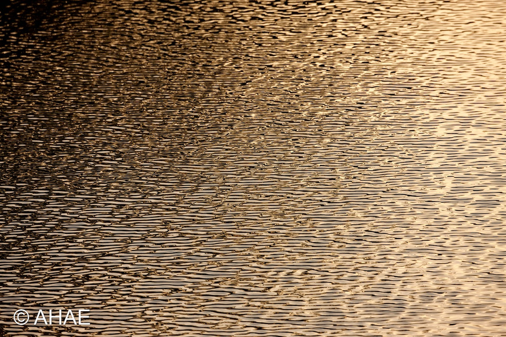 Waves on Pond (2012)