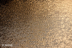 Waves on Pond (2012)