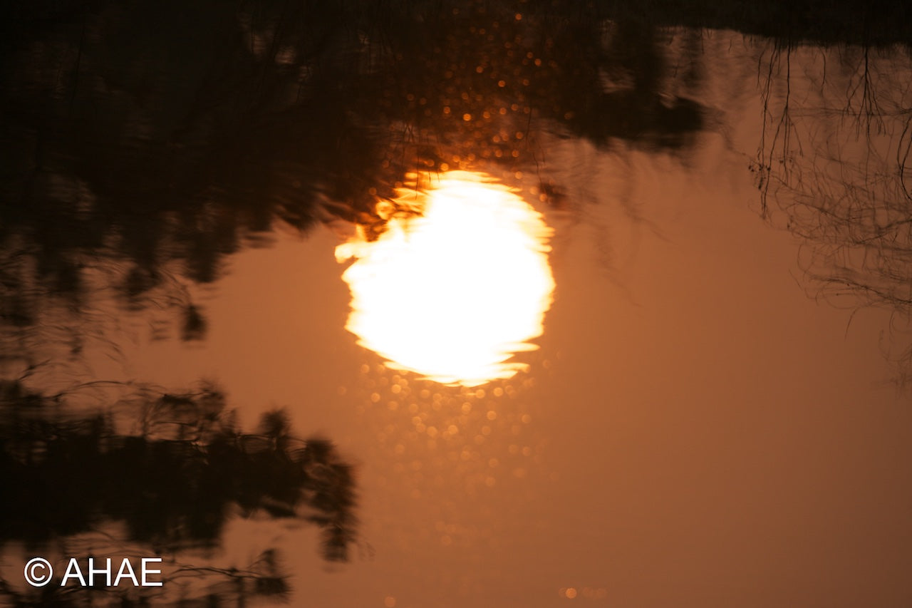 Reflection (2012)
