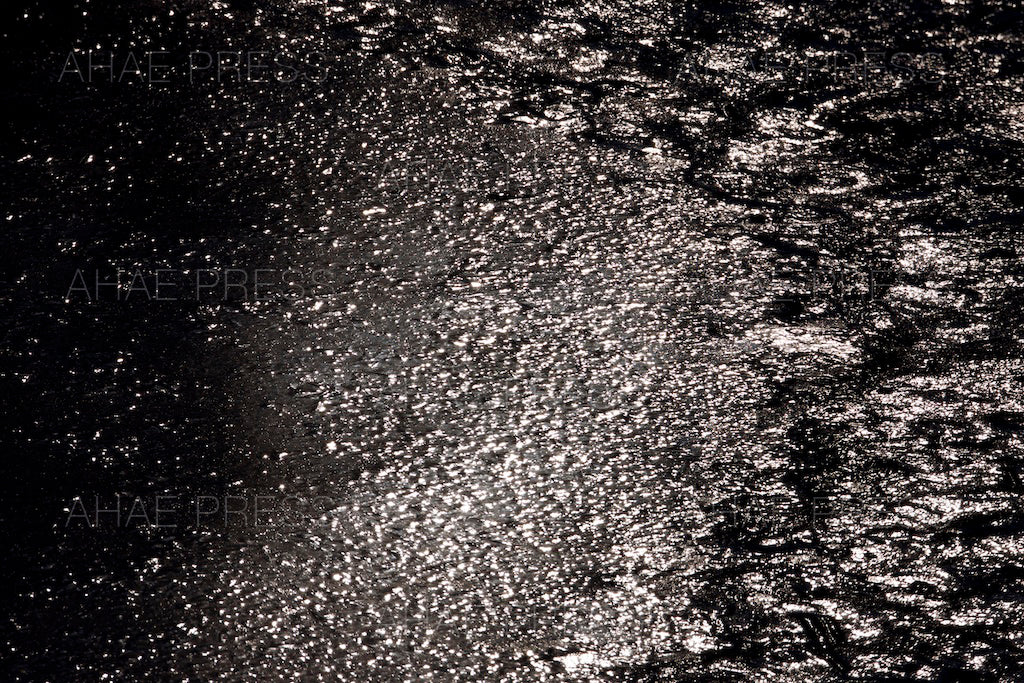 Waves on Pond