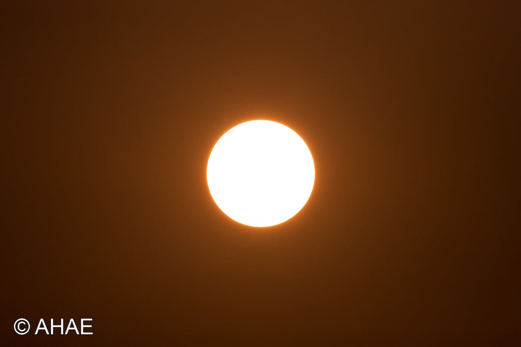 Sun (2011)