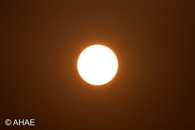 Sun (2011)