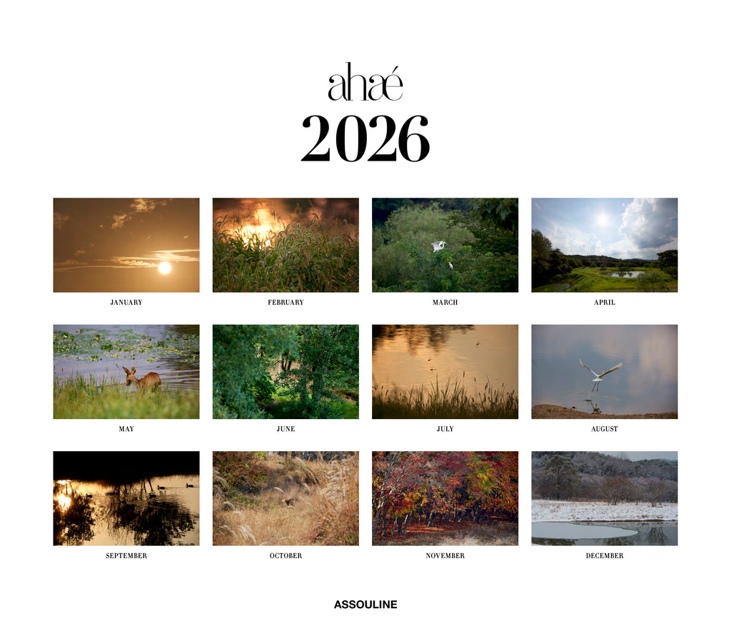2026 Wall Calendar