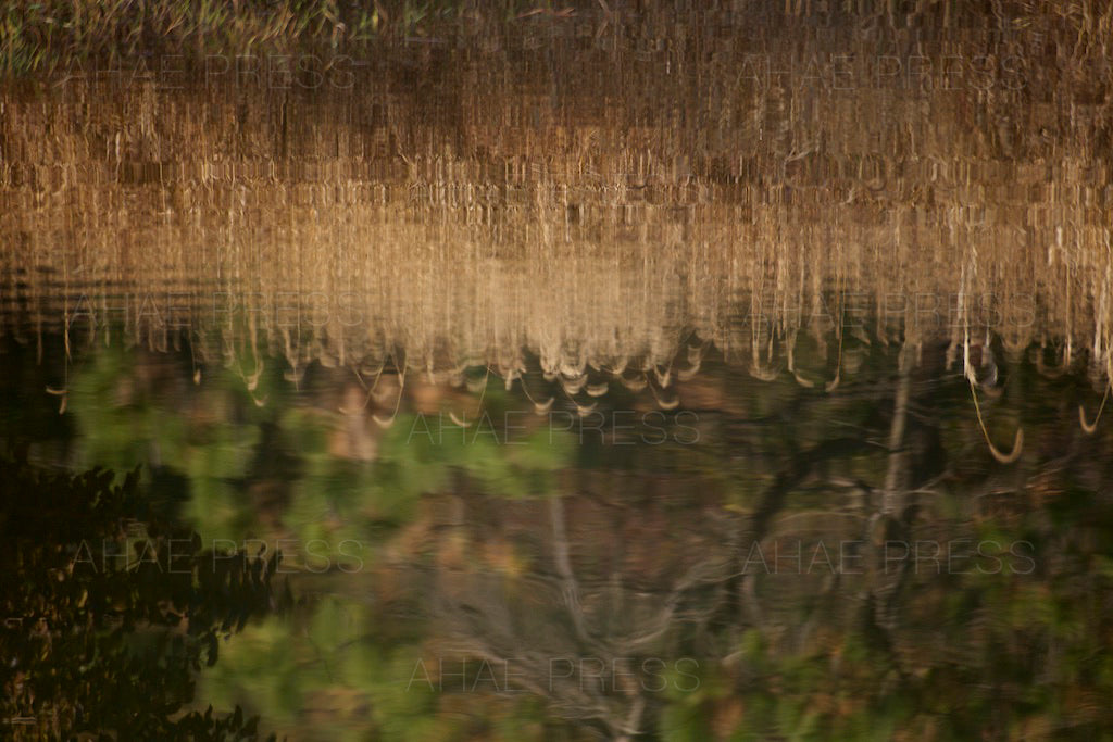 Reflection