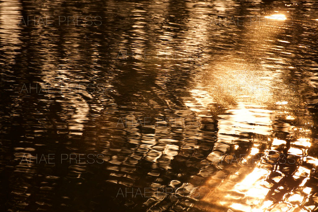 Waves on Pond