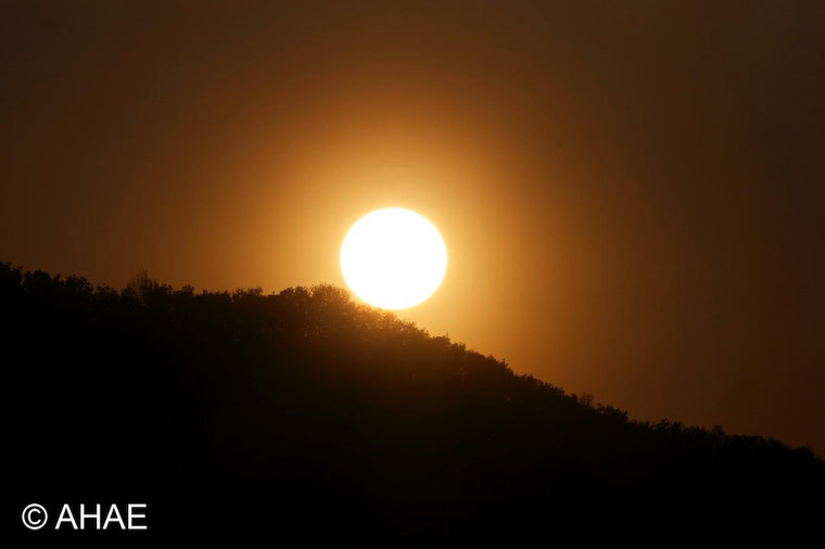 Sunset (2012)