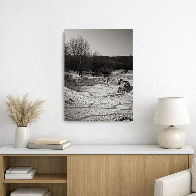 Woods in Winter, on Art Canvas (16 x 24