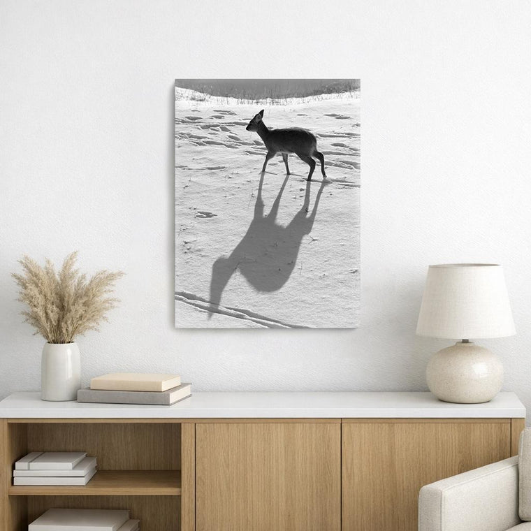 Water Deer, on Art Canvas (16 x 24