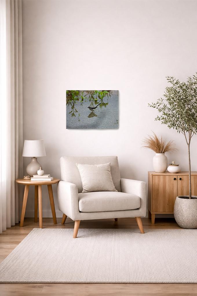 Grey Wagtail, on Art Canvas (16 x 24