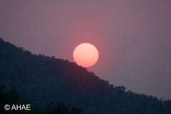 Sunset (2012)