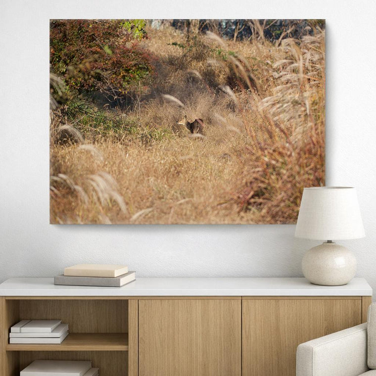 Water Deer, on Art Canvas (36 x 54