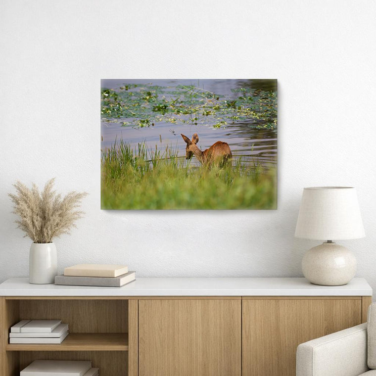 Water Deer and Dragonflies, on Art Canvas (16 x 24