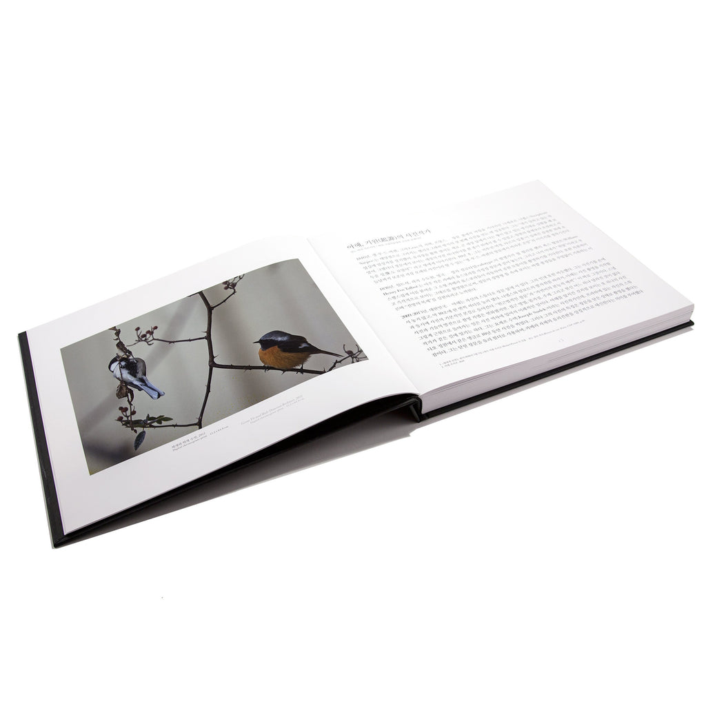 Château de Versailles