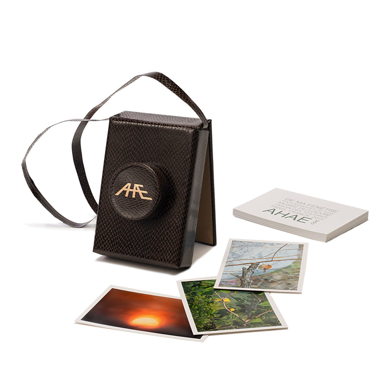 Postcard Set (Special Edition) - Camera