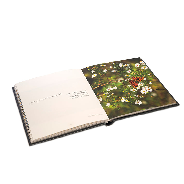 Echoes of My Thoughts