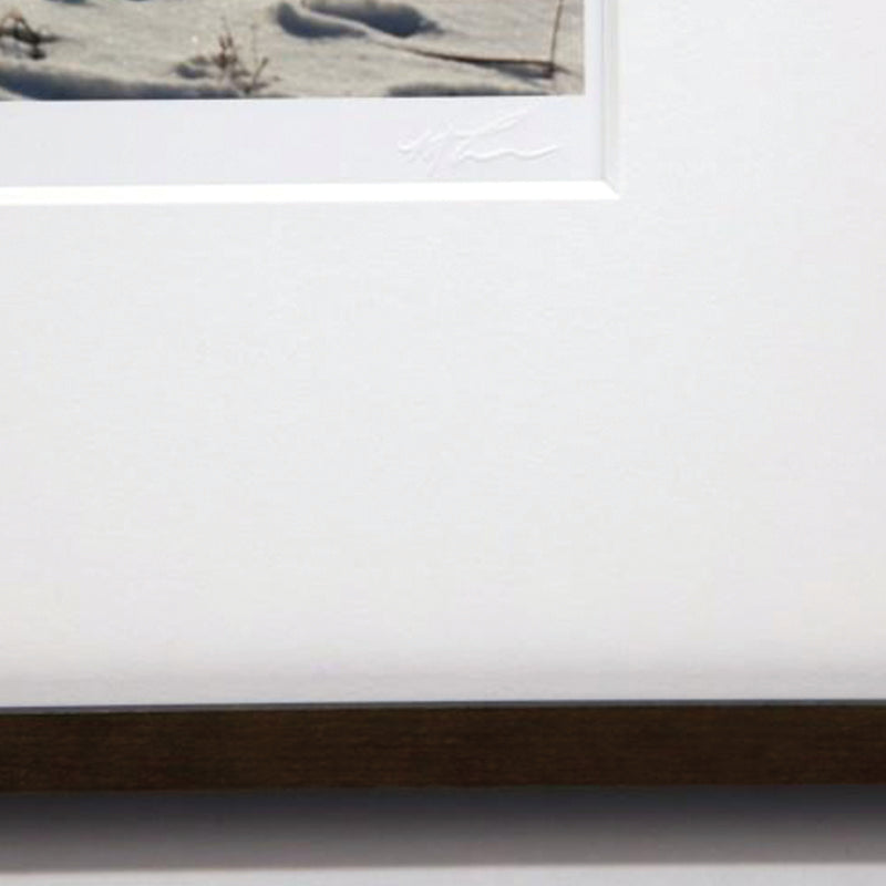 Unlimited Archival Artwork - Inkjet 13 x 19 inches