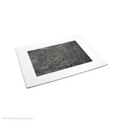 Matte Frame Print