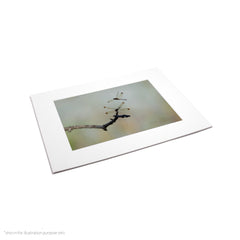 Matte Frame Print