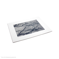 Matte Frame Print