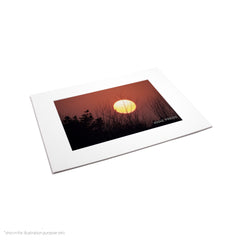 Matte Frame Print
